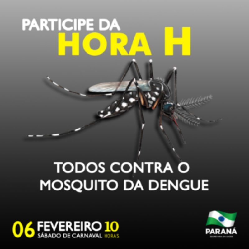 PARANÁ TERÁ HORA H DE COMBATE AO MOSQUITO DA DENGUE